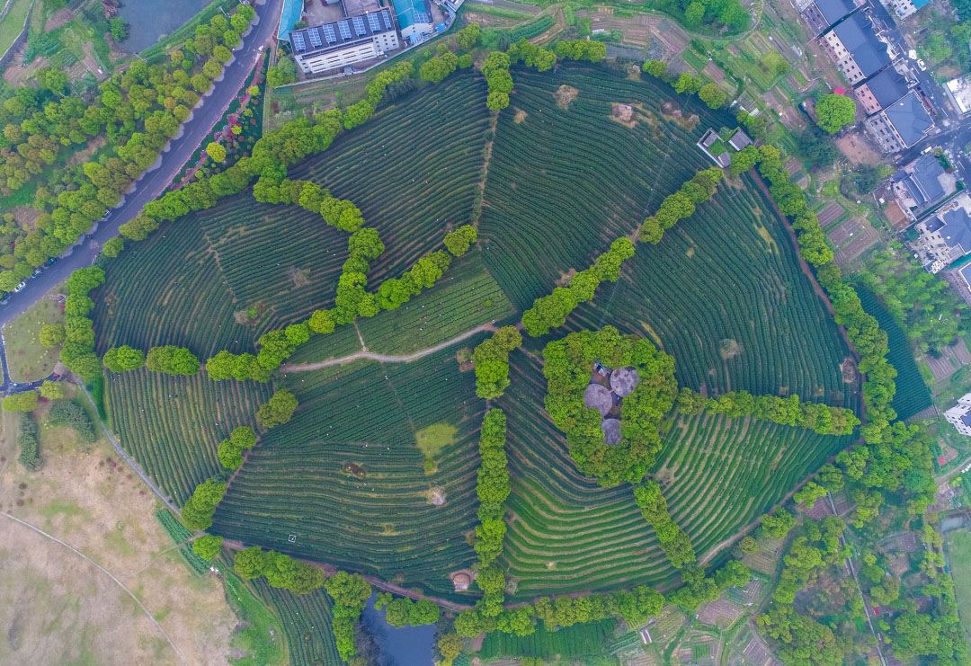 杭州茂丰家庭农场有限公司