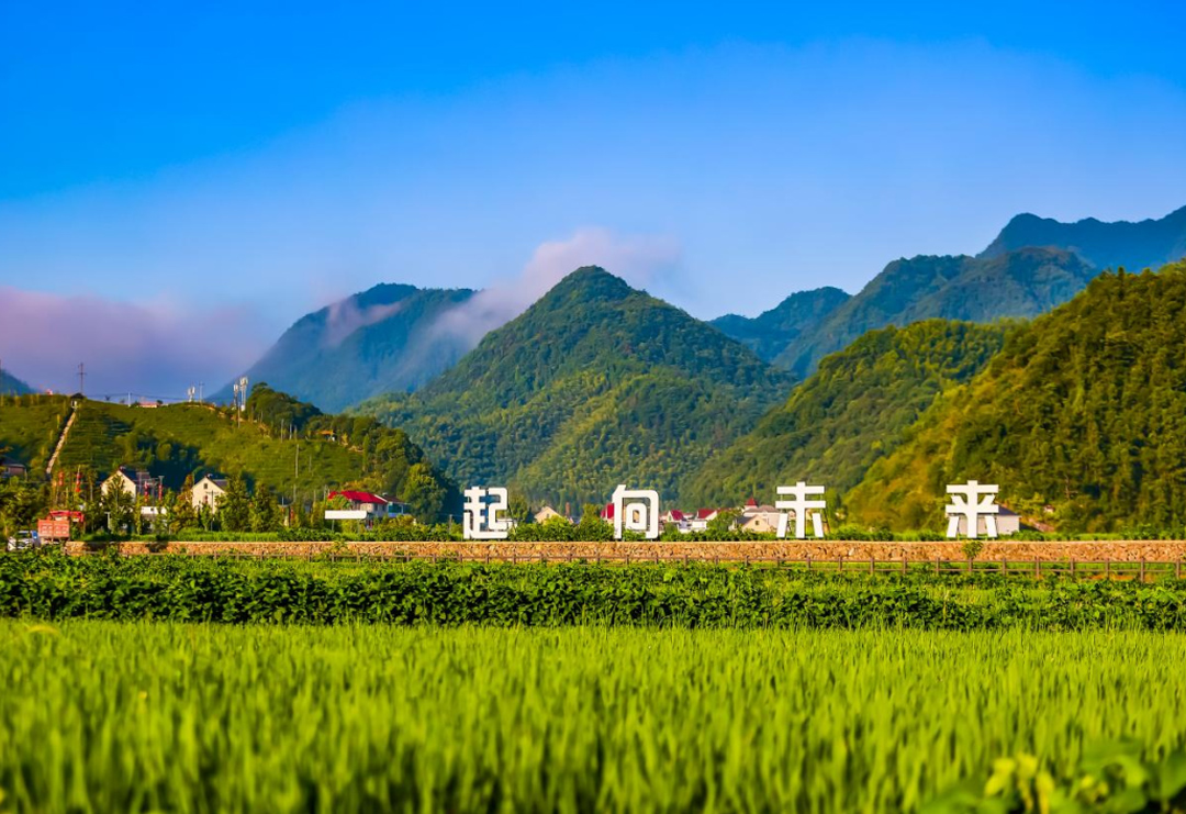 建德市钦堂乡田韵家庭农场