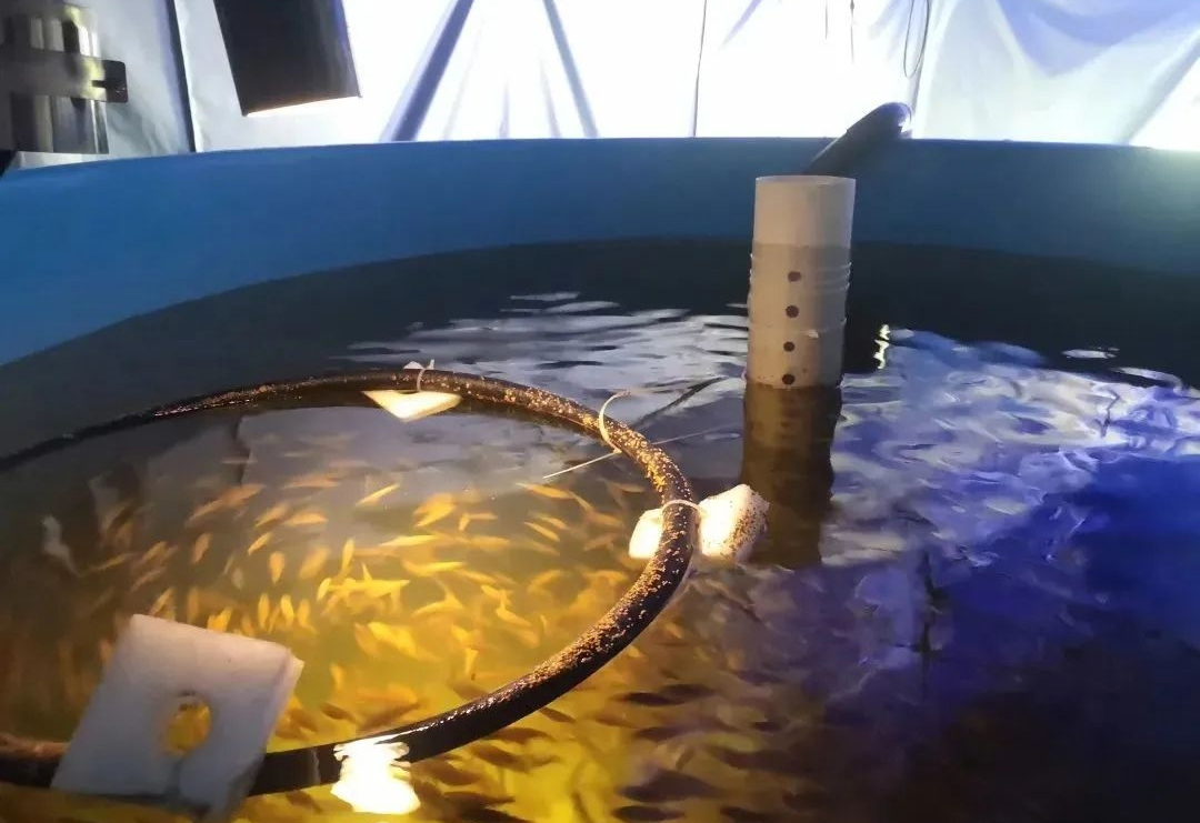 杭州余杭区仁和硕丰家庭农场